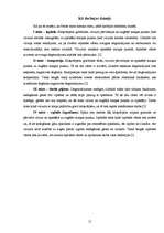 Referāts 'Autosports', 15.