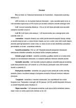 Referāts 'Autosports', 17.