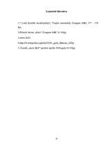 Referāts 'Autosports', 19.