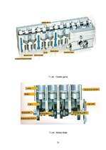 Referāts 'Autosports', 23.