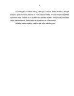 Referāts 'Valsts raksturojums', 4.