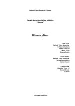 Referāts 'SIA "Renora"', 1.