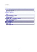 Referāts 'SIA "Renora"', 2.