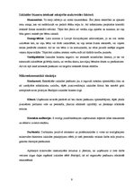 Referāts 'SIA "Renora"', 9.