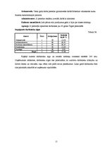 Referāts 'SIA "Renora"', 15.