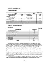 Referāts 'SIA "Renora"', 17.