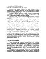 Referāts 'Dizainparaugi', 3.