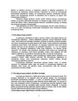 Referāts 'Dizainparaugi', 5.