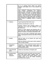 Paraugs 'Izpilddirektora amata apraksts', 2.