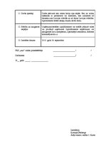 Paraugs 'Izpilddirektora amata apraksts', 3.