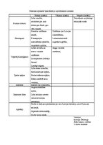 Paraugs 'Izpilddirektora amata apraksts', 4.