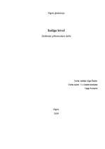 Referāts 'Indigo bērni ', 1.