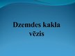 Prezentācija 'Dzemdes kakla vēzis', 1.