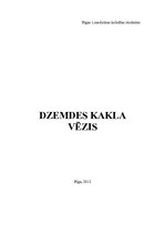 Prezentācija 'Dzemdes kakla vēzis', 26.