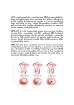 Prezentācija 'Dzemdes kakla vēzis', 28.