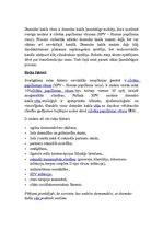 Prezentācija 'Dzemdes kakla vēzis', 29.