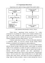 Diplomdarbs 'Latviešu studentu (praktikantu) integrācija Grieķijas viesmīlības uzņēmumos', 25.
