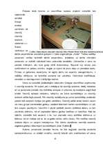 Diplomdarbs 'Latviešu studentu (praktikantu) integrācija Grieķijas viesmīlības uzņēmumos', 37.