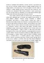 Diplomdarbs 'Latviešu studentu (praktikantu) integrācija Grieķijas viesmīlības uzņēmumos', 38.