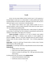 Referāts 'AS "JLM Grupa" finansiālās darbības analīze', 3.