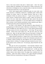 Referāts 'AS "JLM Grupa" finansiālās darbības analīze', 10.