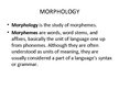 Prezentācija 'Morphology', 1.