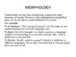 Prezentācija 'Morphology', 2.