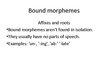 Prezentācija 'Morphology', 6.