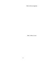 Referāts 'Saules sistēma', 31.