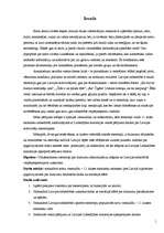 Referāts 'Stereotipi ', 1.