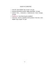 Referāts 'Ģēniji par ģēnijiem', 12.