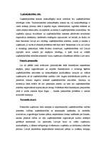 Eseja 'Uzņēmējdarbība', 2.