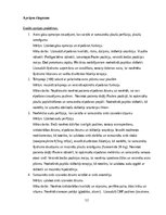 Prakses atskaite 'Klīniskais gadījums- VSD (māsu prakse intesīvājā terapijā)', 12.