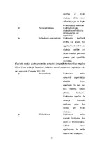 Referāts 'Krīzes komunikācijas vadība SIA "Kindercatering" gadījumā', 13.