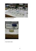 Referāts 'Kālijs dabā un organismā', 26.