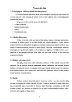 Referāts 'Tehnoloģijas mūsdienās un cilvēku ikdienā', 7.