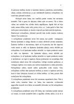 Konspekts 'Krimināltiesības', 4.