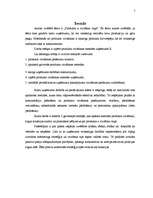 Biznesa plāns 'Produkta virzīšana tirgū', 3.