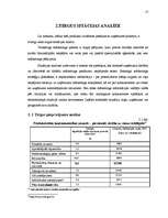 Biznesa plāns 'Produkta virzīšana tirgū', 13.