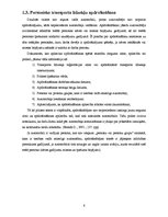 Referāts 'Personisko transporta līdzekļu apdrošināšana', 6.