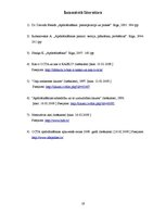 Referāts 'Personisko transporta līdzekļu apdrošināšana', 19.