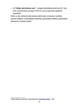 Prakses atskaite 'AS "Nord/LB" prakses atskaite. 1.daļa', 32.