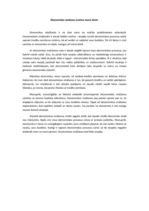 Eseja 'Ekonomisko zināšanu nozīme manā dzīvē', 1.