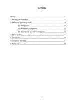 Referāts 'Darba motivācija kā funkcija', 2.