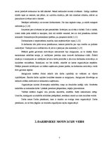 Referāts 'Darba motivācija kā funkcija', 7.