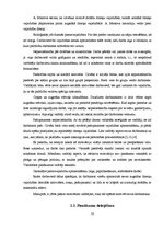 Referāts 'Darba motivācija kā funkcija', 10.