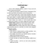 Referāts 'Vadītāja loma pirmsskolas izglītības iestādē fiziskās audzināšanas darba formu o', 3.