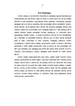 Referāts 'Vadītāja loma pirmsskolas izglītības iestādē fiziskās audzināšanas darba formu o', 32.