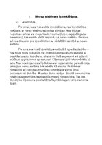 Prakses atskaite 'Funkcionālā stāvokļa noteikšana', 4.