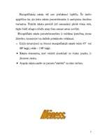 Referāts 'Latviešu etnogrāfiskais raksts. Latviešu raksta elementi - simboli', 3.